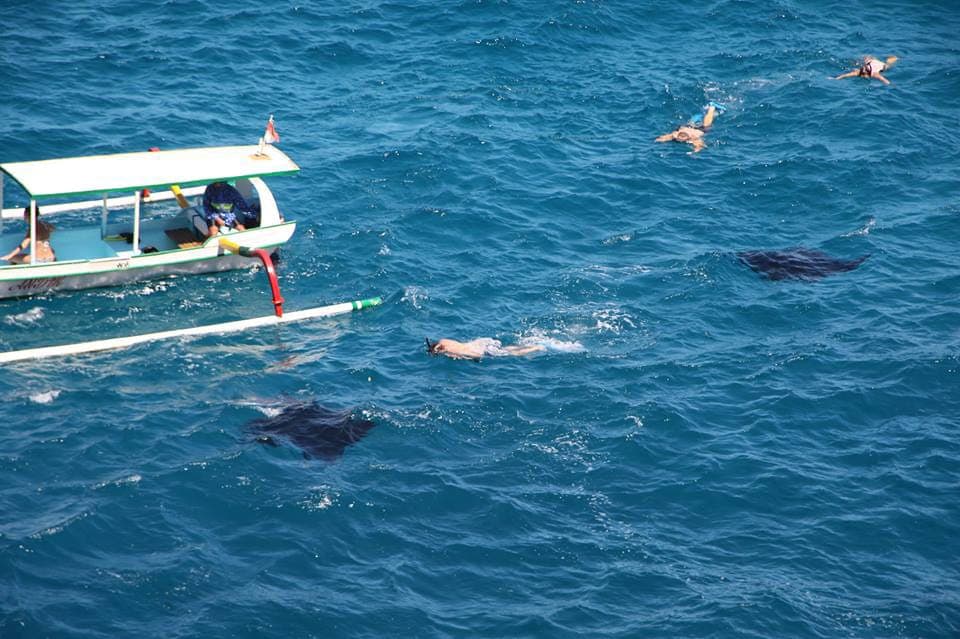 Manta Bay Nusa Penida