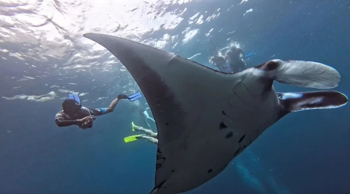 Nusa Penida West Tour + Sharing Snorkeling