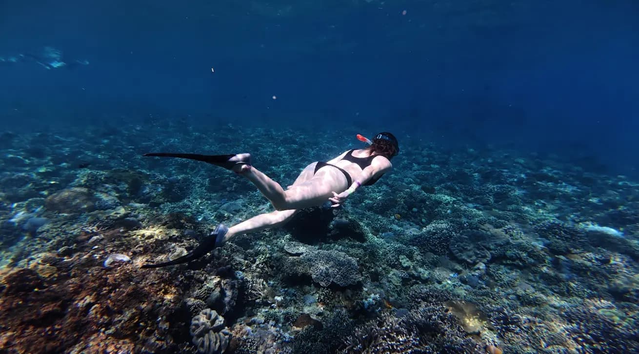 Nusa Penida Snorkeling Only– Manta Bay & Manta Point | Private or Sharing tour